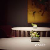 又是一年生日饭｜「 为吃得好又不吃太饱 」