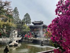 -红螺寺