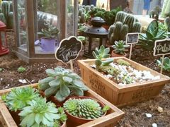 android_upload_pic-万达影城(南宁印象城IMAX店)