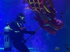 -沈阳海洋探索中心