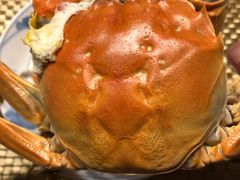 -黄记大闸蟹专卖店·活蟹·醉蟹