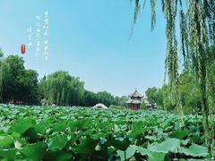 -莲池书院博物馆