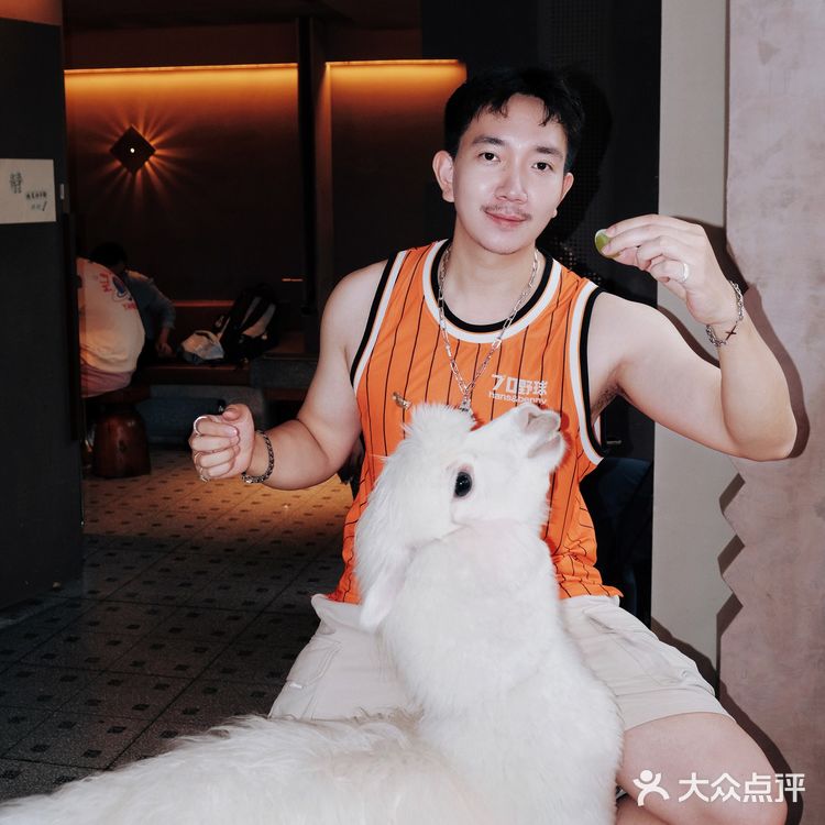 爱的投喂♡一颗水晶葡萄俘获神兽🦙芳心