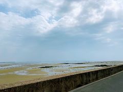 -北海金海湾红树林生态旅游区