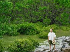 -宝安西湾红树林湿地公园