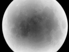 -深圳独角兽星空艺术馆
