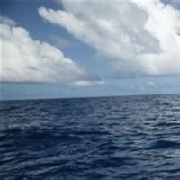 -薇兰专业脱毛连锁机构