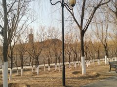 -永定河休闲森林公园