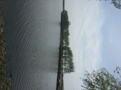 -白渔泡湿地公园