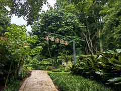 -中国科学院西双版纳热带植物园
