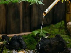 -汉艺唐风茶艺培训(联发华美空间店)