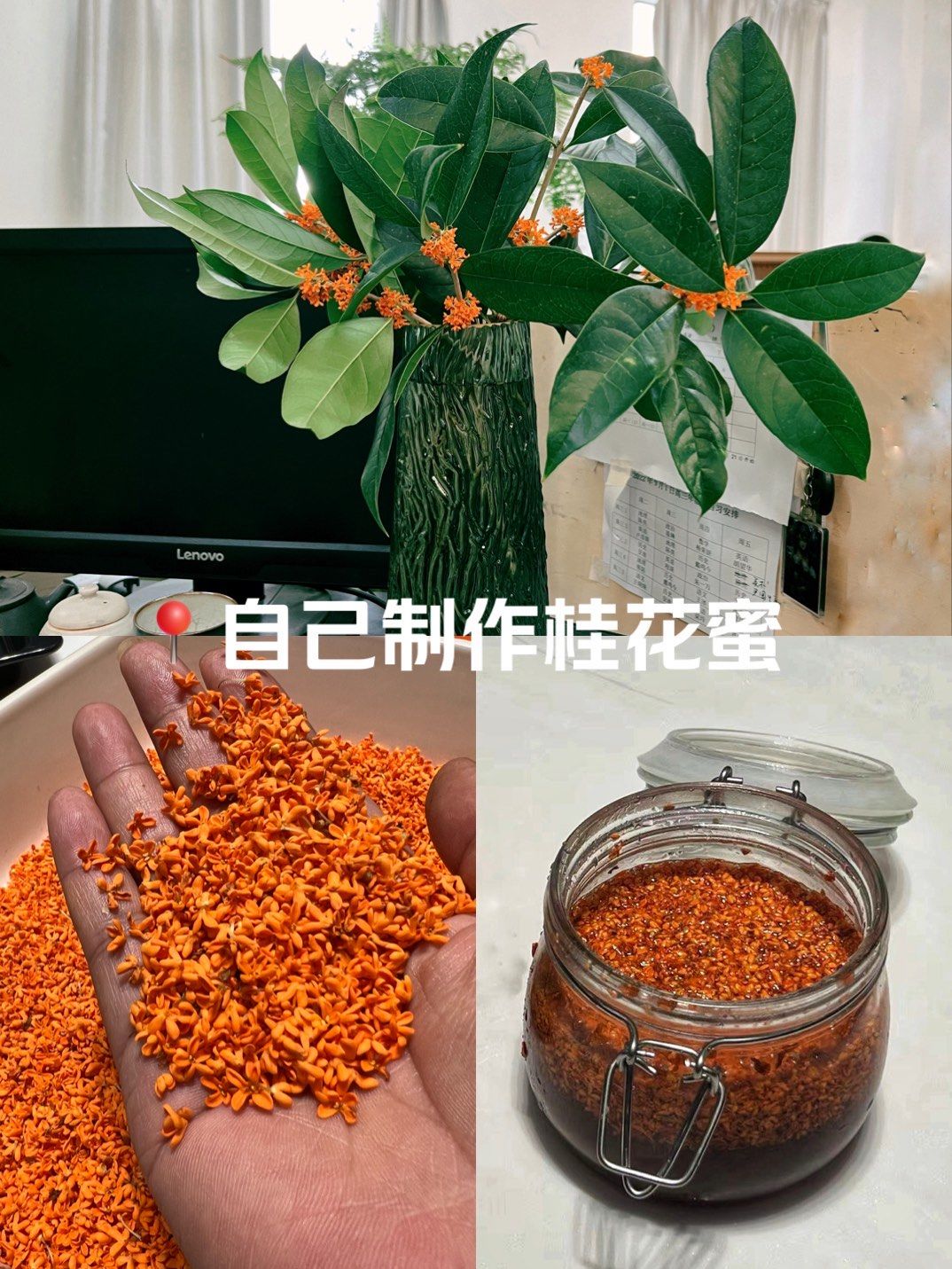 桂花蜜蜂蜜放多了可以吗怎么保存(桂花蜜蜂蜜放多了可以吗怎么保存不会坏) 桂花蜜蜂蜜放多了可以吗怎么保存(桂花蜜蜂蜜放多了可以吗怎么保存不会坏)