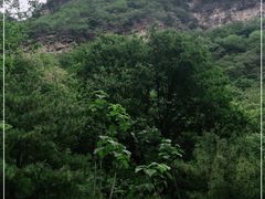 -北京上方山国家森林公园
