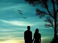 -元气寿司(新城市广场店)