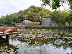 景点-李小龙乐园(顺德均安店)