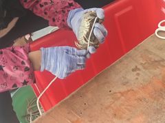 -阳澄湖大闸蟹·琼灵阁牌品牌连锁(吴中总店)