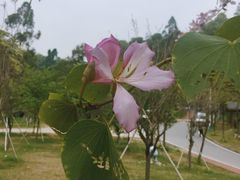 -火炉山森林公园