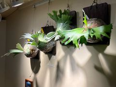 -路易时光(蕴川路店)