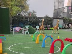-天津蜂巢幼儿园·托育