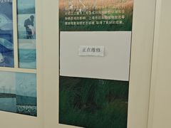 -上海长江河口科技馆