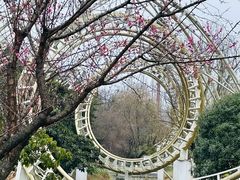 -成都市活水公园