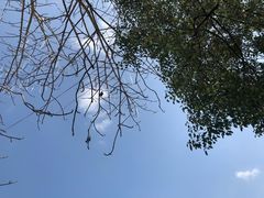 -竹一味·竹筒饭