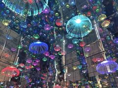 -深圳独角兽星空艺术馆