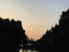 -济南大明湖景区