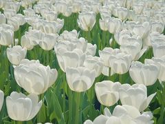 -玄武湖景区-情侣园游乐场