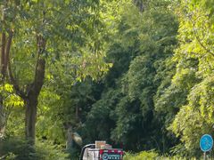 -白鹭湾湿地公园