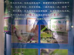 -上海昆虫博物馆