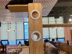 -喵匠猫主题咖啡(凯德和平广场店)