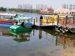 -上海长兴岛郊野公园