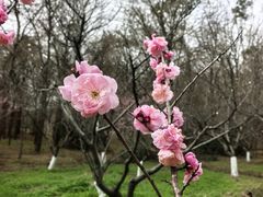景点-上海海湾国家森林公园