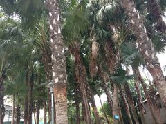 -揭东万竹园旅游景区