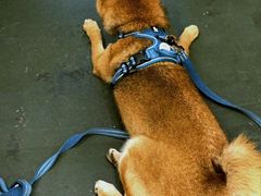 -花满楼(启秀路店)