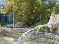 -中家鑫园温泉酒店鑫悦汤泉