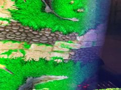 -网鱼电竞(杨浦中原店)