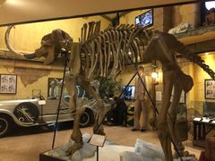 -信不信由你博物馆