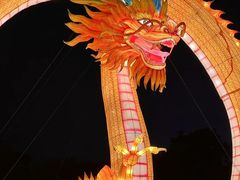 -万绿园