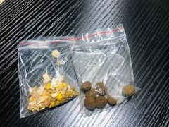 -逗柴咖啡屋·狗咖猫咖宠物桌游