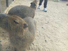 -茅山东方盐湖城景区