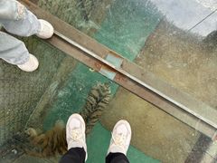 -栾川竹海野生动物园