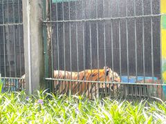 -广州动物园
