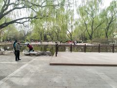 景点-玲珑塔公园