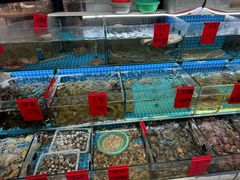 -洲晓鲜·舟山海鲜大排档(朱家尖风景区店)