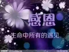 -京都饺子(双塔西街店)