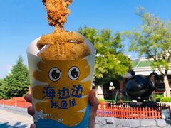 -青岛方特梦幻王国