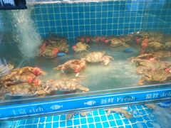 -鲜鲜·鲅鱼圈海鲜(于洪店)