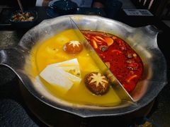台式麻辣花胶鸡鸳鸯锅-湊湊火锅·茶憩(世博大道店)